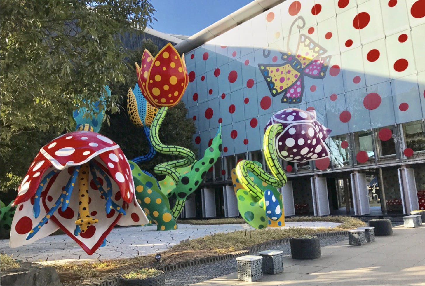 草間彌生の作品を見れる　松本市美術館