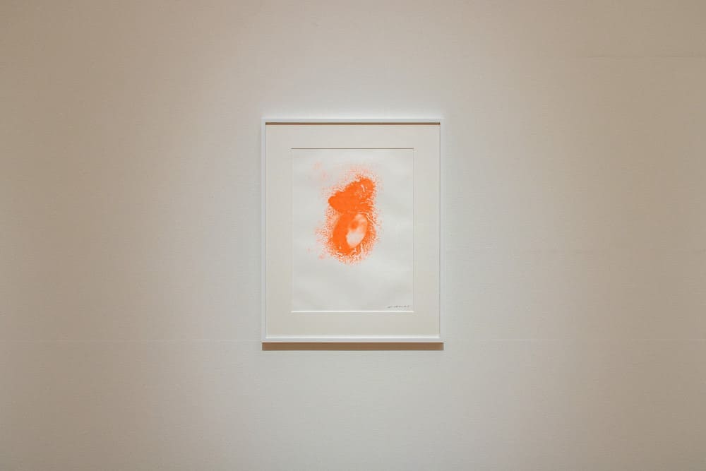 名和晃平　作品