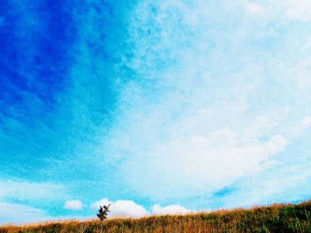 絵画を相続すると税金がかかる？評価方法も解説